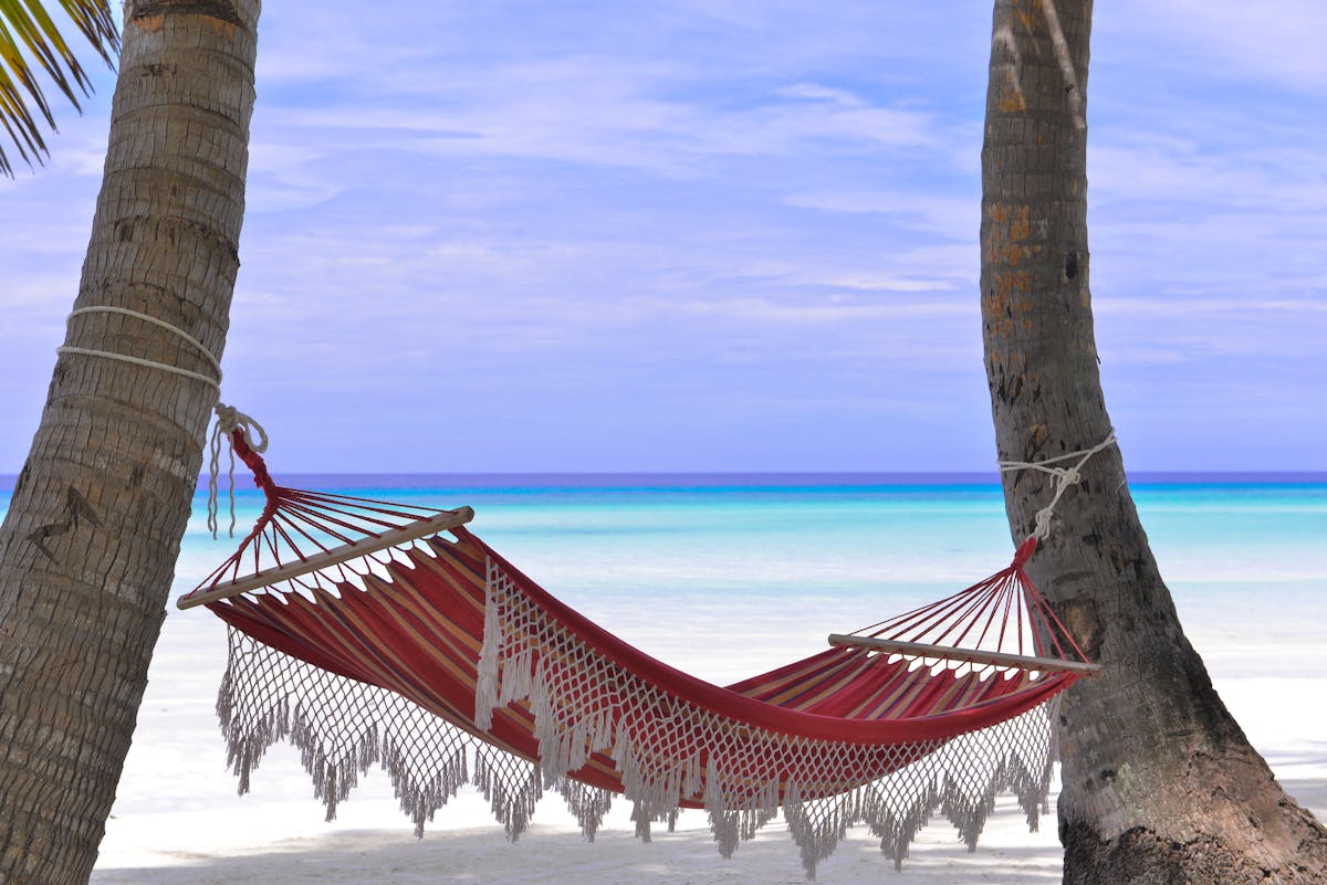 Auto-Replied From a Hammock